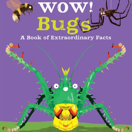 Wow! Bugs