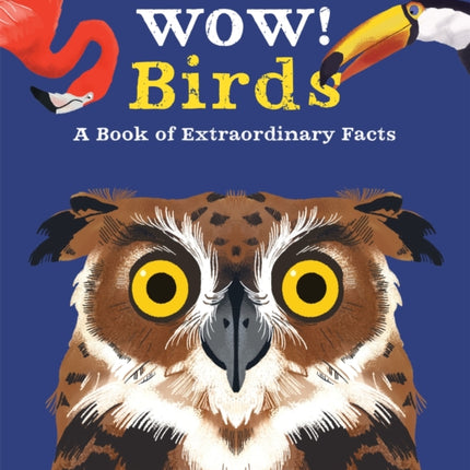 Wow Birds