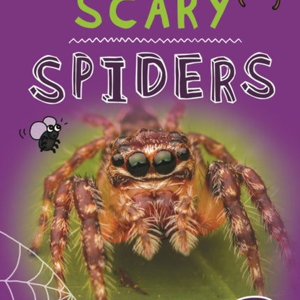 It's All About... Scary Spiders