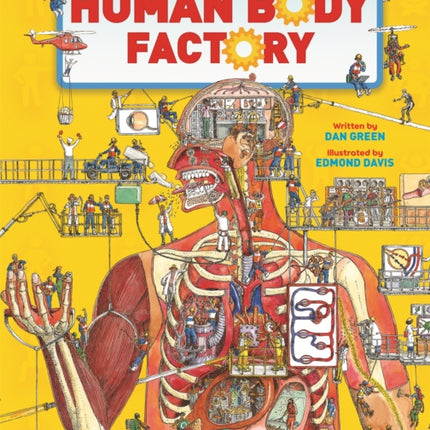 The Human Body Factory: A Guide To Your Insides