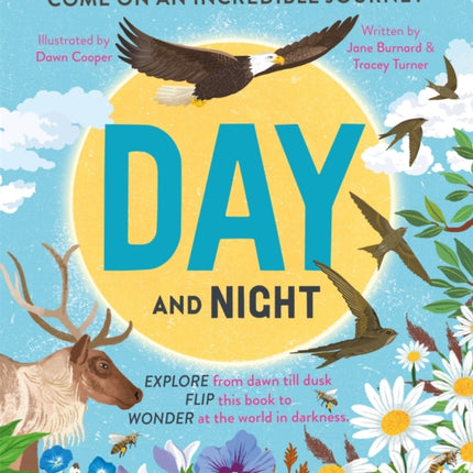 Day and Night