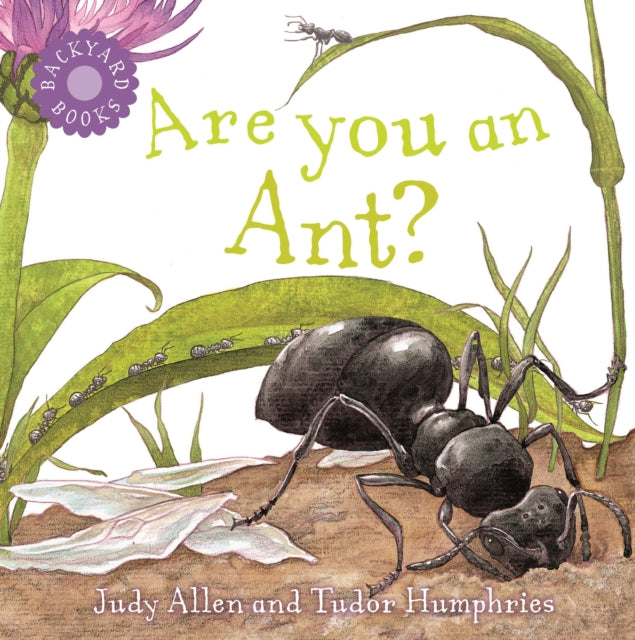 Are You An Ant