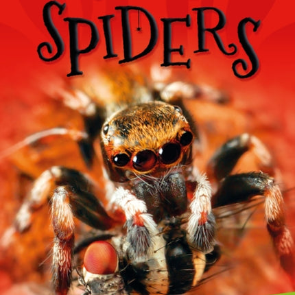 Its All About Scary Spiders Everything You Want to Know about These EightLegged CreepyCrawlies in One Amazing Book