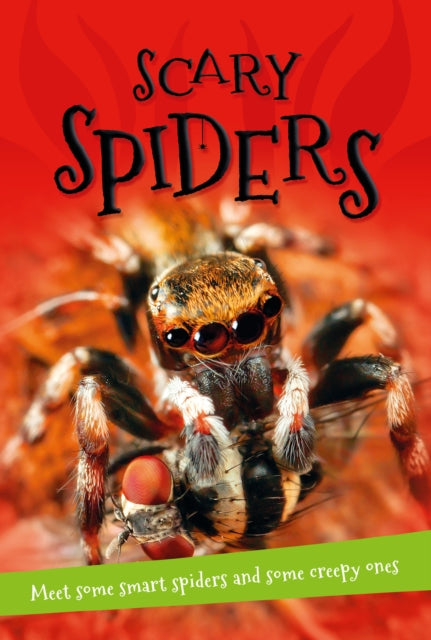 Its All About Scary Spiders Everything You Want to Know about These EightLegged CreepyCrawlies in One Amazing Book