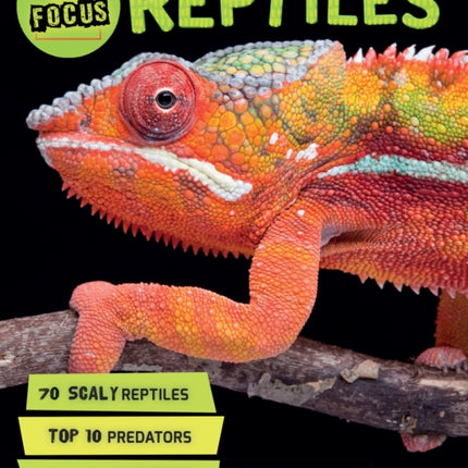 In Focus Reptiles