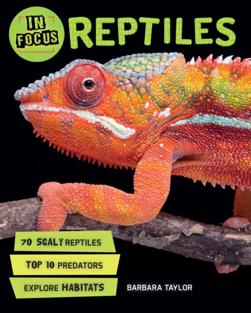 In Focus Reptiles