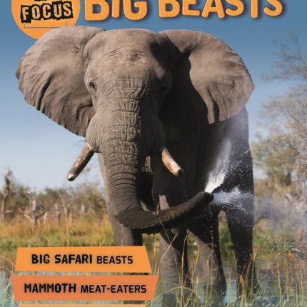 In Focus: Big Beasts