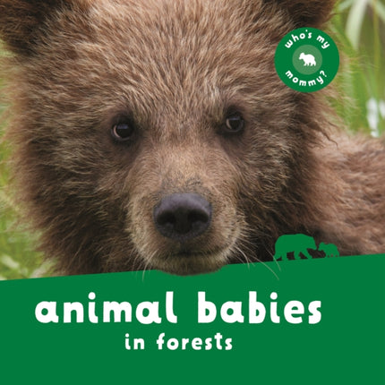 Animal Babies in Forests