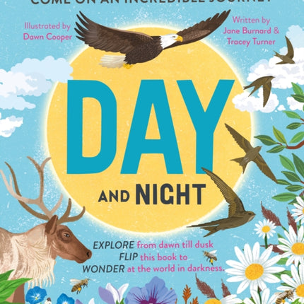 Day and Night