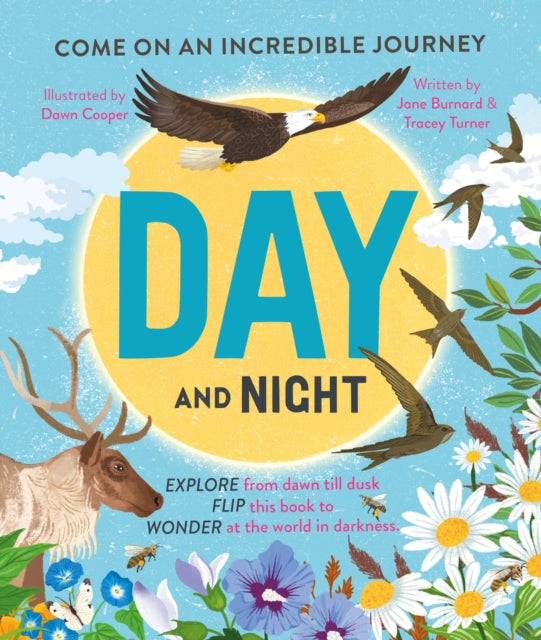 Day and Night