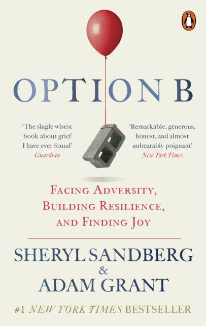 Option B: Facing Adversity, Building Resilience, and Finding Joy