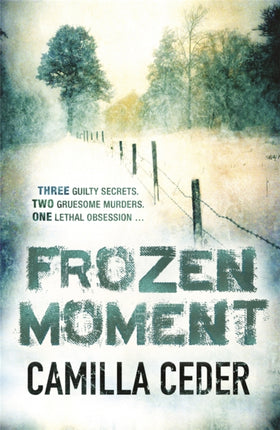 frozenmoment