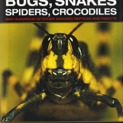 The Deadly World of Bugs, Snakes, Spiders, Crocodiles and Hundreds of Other Amazing Reptiles and Insects: Discover the Amazing World of Reptiles and Bugs, Featuring More Than 1500 Fabulous Wildlife Photographs and Illustrations