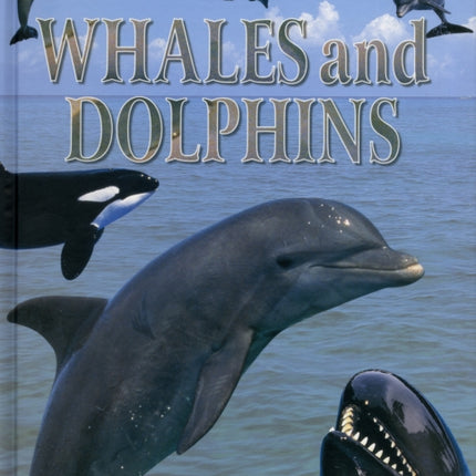 Whales and Dolphins