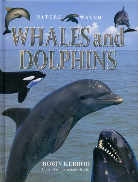 Whales and Dolphins