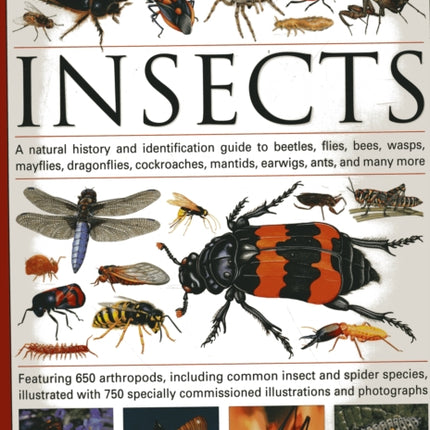 The Illustrated World Encyclopaedia of Insects: A Natural History and Identification Guide to Beetles, Flies, Bees Wasps, Springtails, Mayflies, Stoneflies, Dragonflies, Damselflies, Cockroaches, Mantids, Earwigs ... and Many More