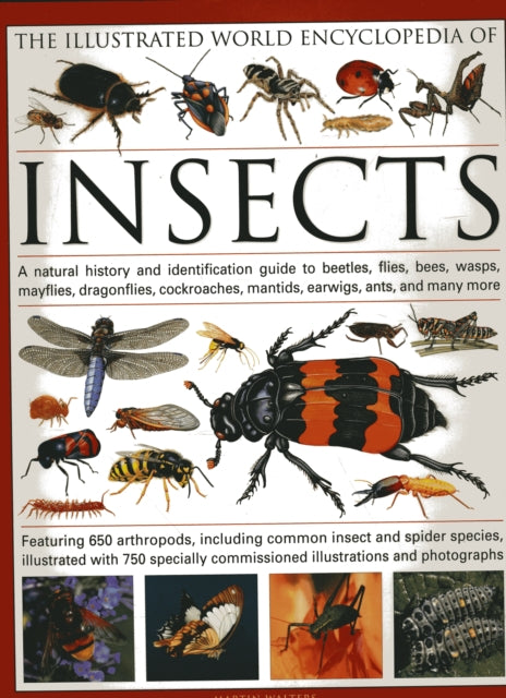 The Illustrated World Encyclopaedia of Insects: A Natural History and Identification Guide to Beetles, Flies, Bees Wasps, Springtails, Mayflies, Stoneflies, Dragonflies, Damselflies, Cockroaches, Mantids, Earwigs ... and Many More