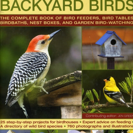 Backyard Birds III: Practical Guide to Attracting and Feeding