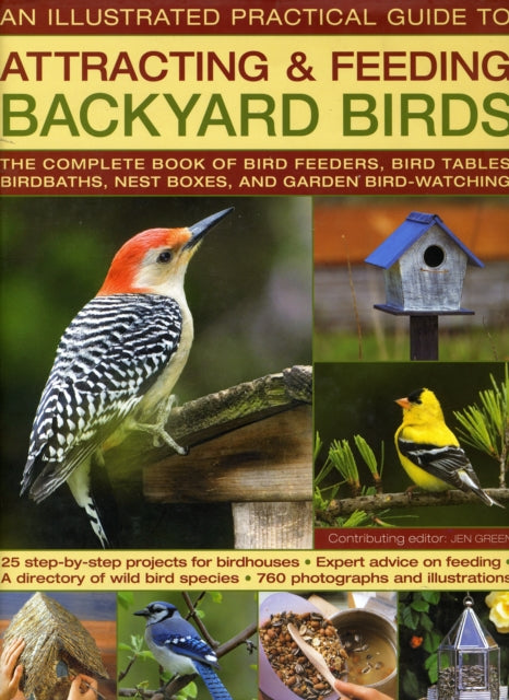 Backyard Birds III: Practical Guide to Attracting and Feeding