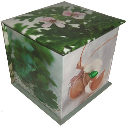 Memo Block Herbs
