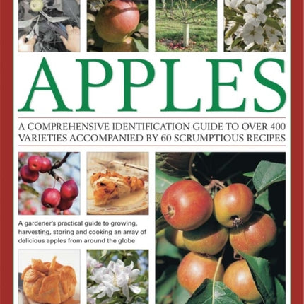 Illustrated World Encyclopedia of Apples