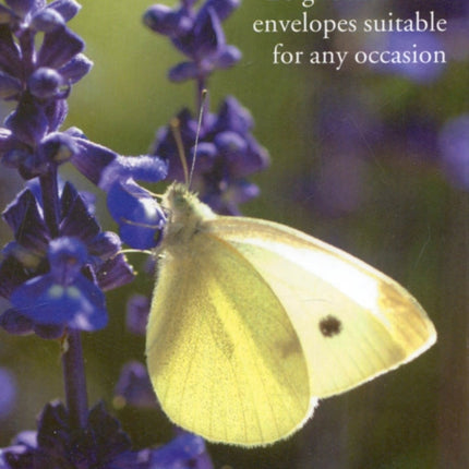 Butterfly Large Card Box Butterfly Stationery