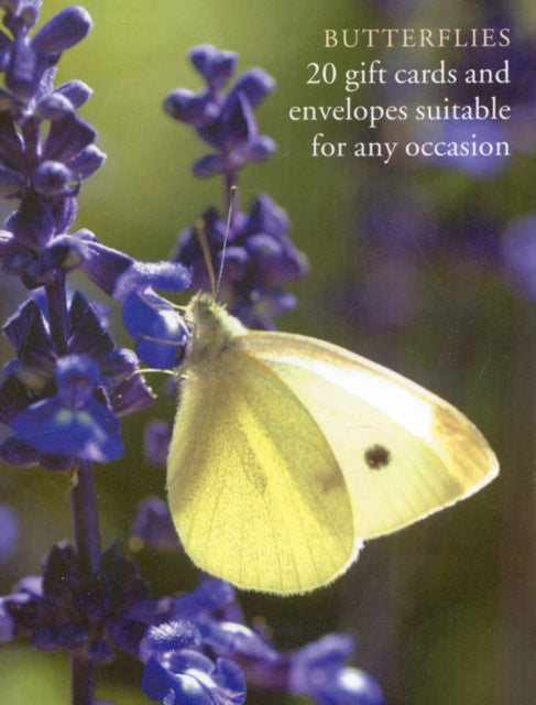 Butterfly Large Card Box Butterfly Stationery