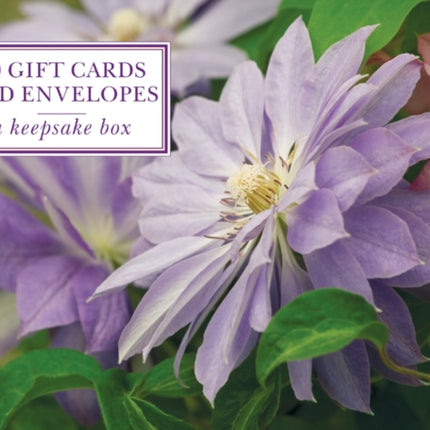 Tin Box of 20 Gift Cards and Envelopes: Clematis