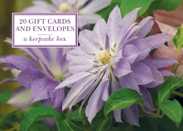 Tin Box of 20 Gift Cards and Envelopes: Clematis