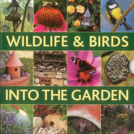 How to Attract Wildlife  Birds into the Garden A Practical Gardeners Guide for Animal Lovers Including Planting Advice Designs and 90 Stepbystep Projects with 1700 Photographs by Lavelle Michael  Author  ON Nov152011 Hardback