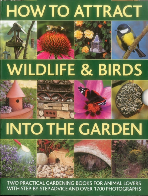 How to Attract Wildlife  Birds into the Garden A Practical Gardeners Guide for Animal Lovers Including Planting Advice Designs and 90 Stepbystep Projects with 1700 Photographs by Lavelle Michael  Author  ON Nov152011 Hardback