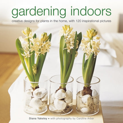 Gardening Indoors Creative Designs for Plants in