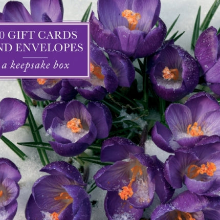 Tin Box of 20 Gift Cards and Envelopes: Crocus