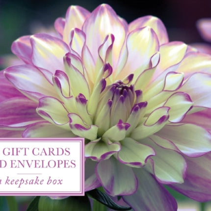 Tin Box of 20 Gift Cards and Envelopes Dahlia