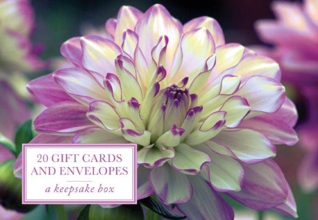 Tin Box of 20 Gift Cards and Envelopes Dahlia