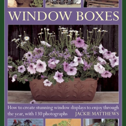 Window Boxes How to Create Stunning Window Displays to Enjoy Throughout the Year