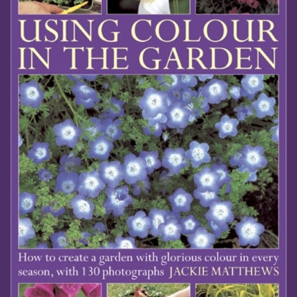 Using Colour in the Gardens