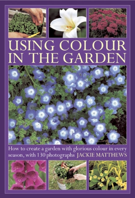 Using Colour in the Gardens