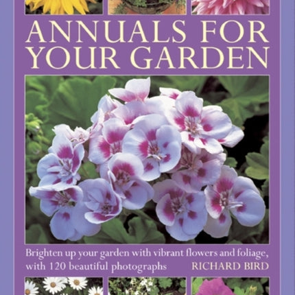 Annuals for Your Garden