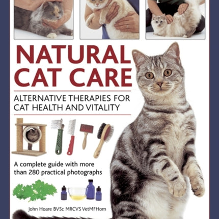 Natural Cat Care Alternative Therapies for Cat