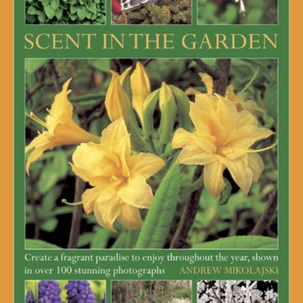 Scent in the Garden Create a Fragrant Paradise to