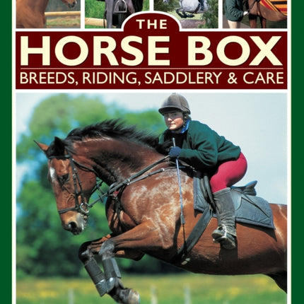 Horse Box: Breeds, Riding, Saddlery & Care