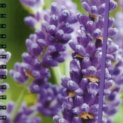 Notebook Lavender