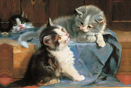 Memo Block Kittens