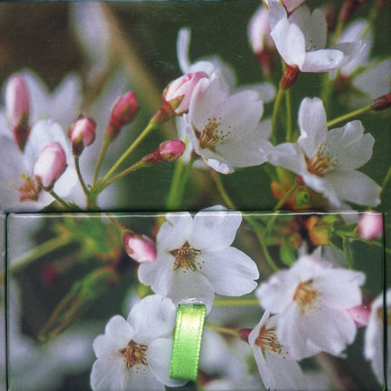 Memo Block Cherry Blossom Memo Blocks