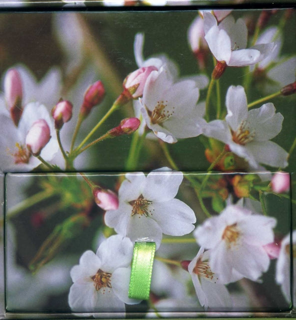 Memo Block Cherry Blossom Memo Blocks