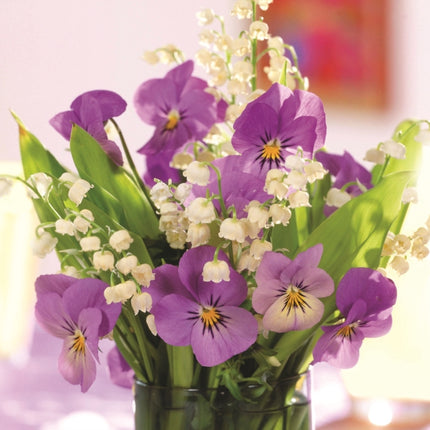 Memo Block Purple Viola