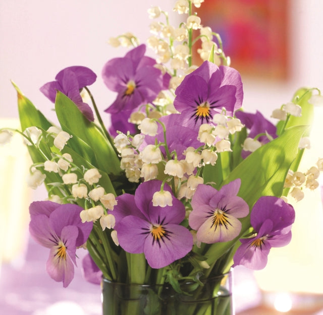 Memo Block Purple Viola