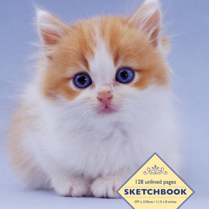 Sketchbook: Kitten