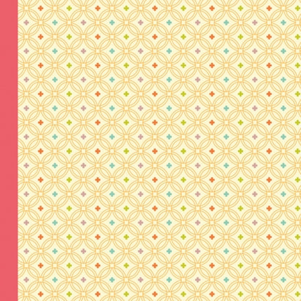 The Indie Collection Design B Stylish Notebooks